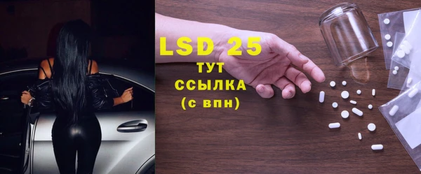 индика Баксан