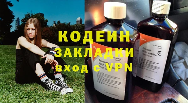 индика Баксан