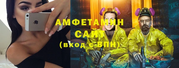 индика Баксан