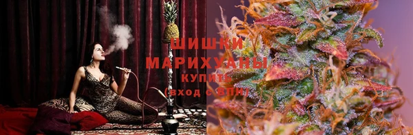 индика Баксан