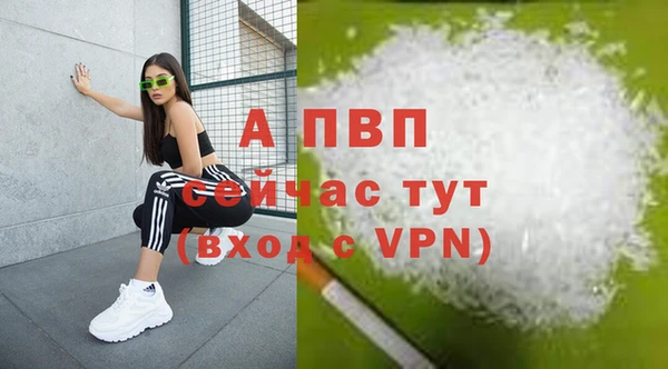 индика Баксан
