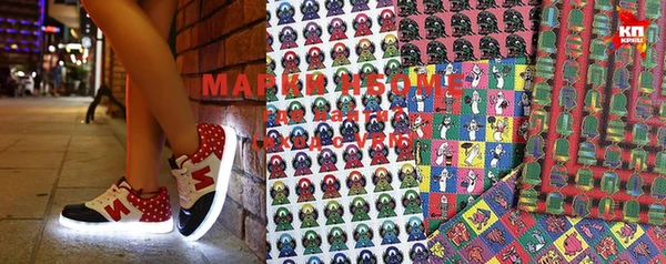 индика Баксан