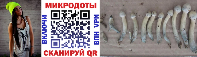 Псилоцибиновые грибы мухоморы  Иланский 